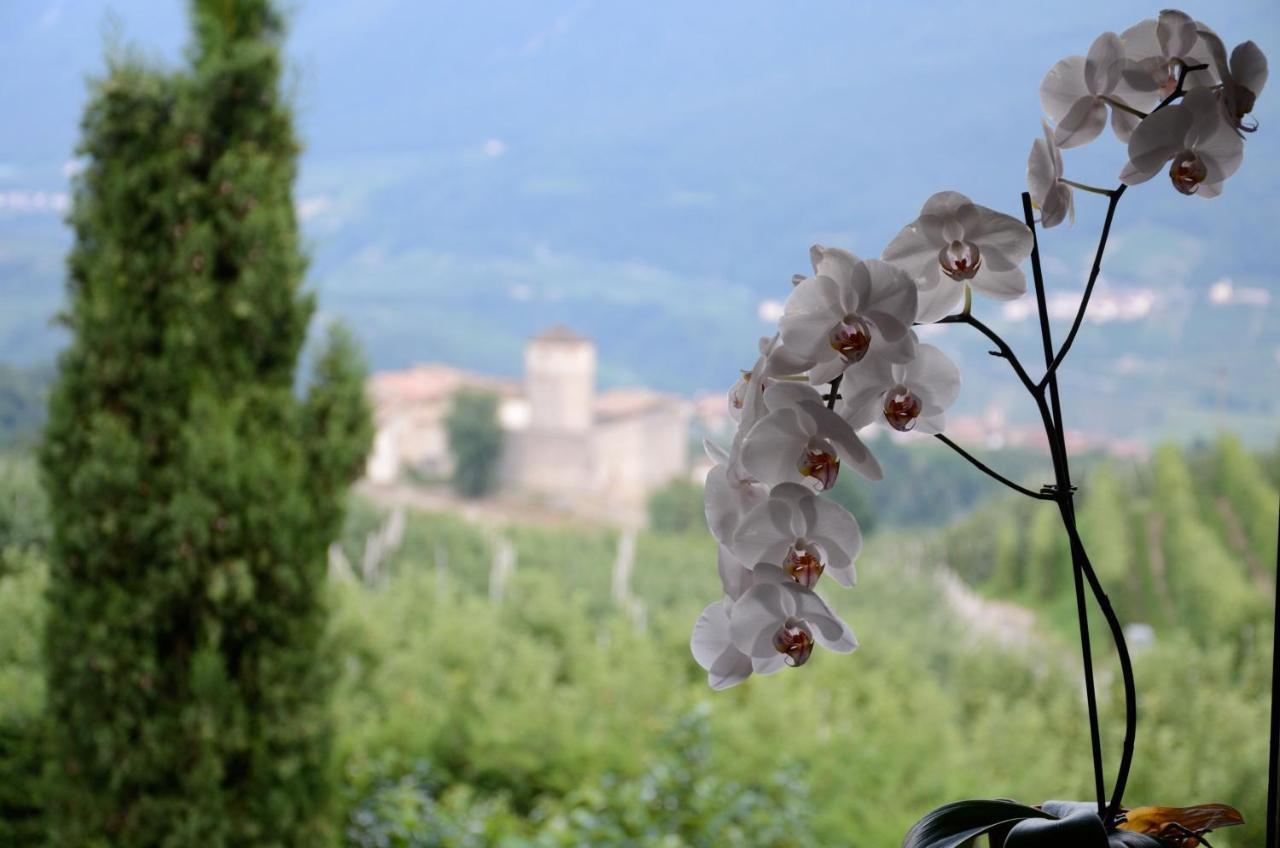 Bed and Breakfast Al Trifoglio Campodenno Экстерьер фото